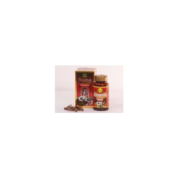  PRANAJEEWA 500MG CAP 80S 
