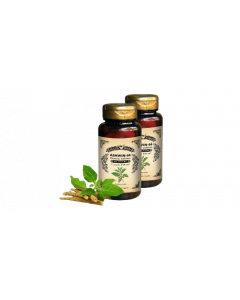 HEALING HERBS ASHWIN 66 CAPS 30S