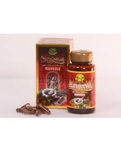  PRANAJEEWA 500MG CAP 80S 